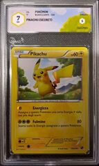 Pikachu (Black and White) GRAAD 7