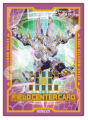 Field Center Card - National 2023 WCQ - Protetcodificatore Trasmittente
