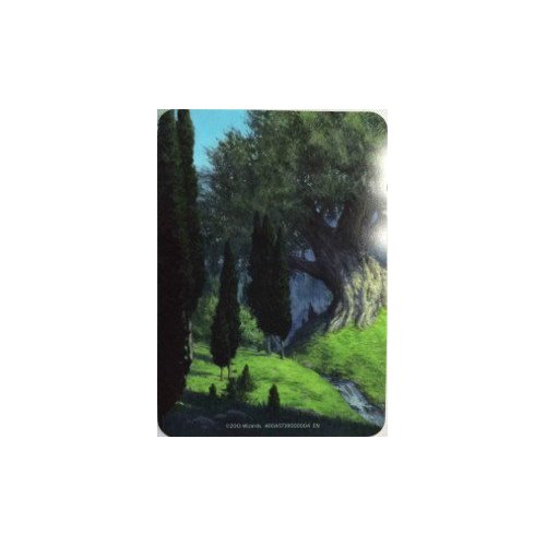 divisori: Divisore Theros Holiday Gift Box: Foresta