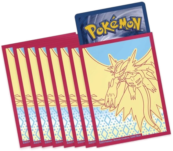 /prodotti/accessori/ds_standard/2_237428_e.png