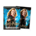 Dragon Shield 100 Bustine Art Ruvide Wizarding World Hermione Granger