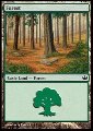 Foresta (V.3)