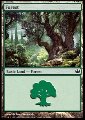 Foresta (V.4)