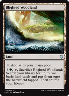 /prodotti/mtg/c17/blighted-woodland.jpg