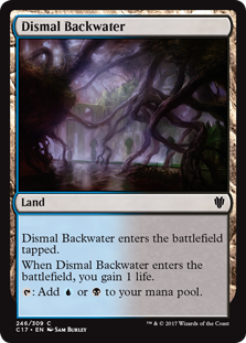 /prodotti/mtg/c17/dismal-backwater.jpg