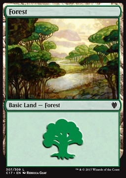 /prodotti/mtg/c17/forest1.jpg