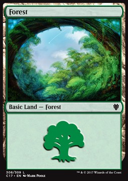 /prodotti/mtg/c17/forest2.jpg