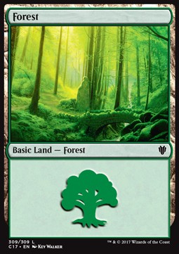 /prodotti/mtg/c17/forest3.jpg