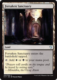 /prodotti/mtg/c17/forsaken-sanctuary.jpg