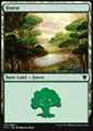 Foresta