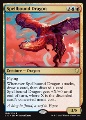 Drago Incantato