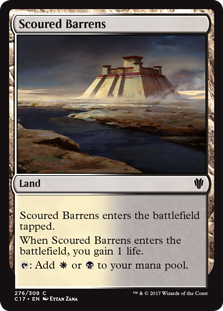 /prodotti/mtg/c17/scoured-barrens.jpg
