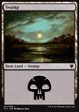 /prodotti/mtg/c17/swamp1.jpg