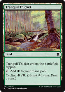 /prodotti/mtg/c17/tranquil-thicket.jpg