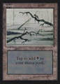 Palude (V.3)