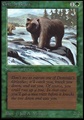 Orso Grizzly