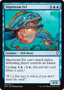 /prodotti/mtg/cm2/slipstream-eel.jpg