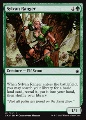 Ranger Silvana