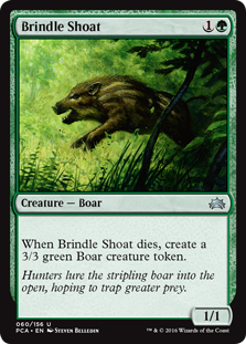/prodotti/mtg/pca/brindle-shoat.jpg