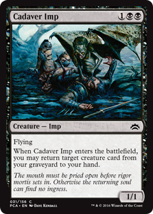 /prodotti/mtg/pca/cadaver-imp.jpg