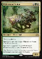 Elderwood Scion