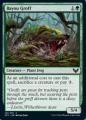 Latro del Bayou