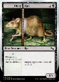 Dirty Rat