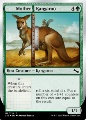 Mother Kangaroo