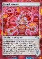 Neural Network