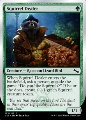 Squirrel Dealer