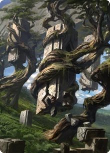 /prodotti/mtg/xznr/020.jpg