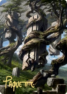 /prodotti/mtg/xznr/101.jpg