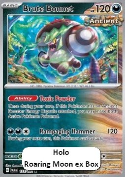 /prodotti/pokemon/all/Fungofurioso_holo.jpg