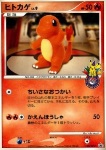 Charmander Lv.9 
