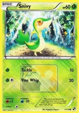 /prodotti/pokemon/all/snivy.jpeg
