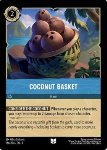 Coconut Basket