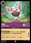 Pua - Potbellied Buddy