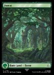 Foresta