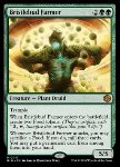 Bristlebud Farmer