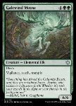Galewind Moose