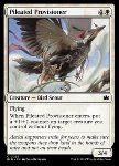 Pileated Provisioner