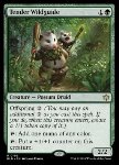 Tender Wildguide