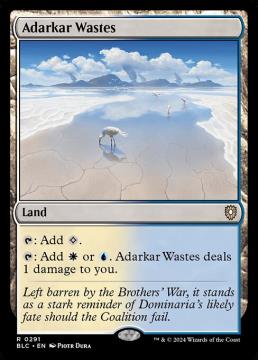 /prodotti/singles/magic/blc/adarkar-wastes_779406.jpg