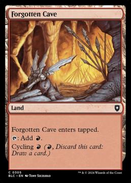 /prodotti/singles/magic/blc/forgotten-cave_779185.jpg