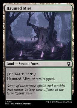 /prodotti/singles/magic/blc/haunted-mire_779366.jpg