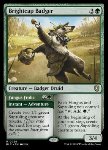 Brightcap Badger // Fungus Frolic