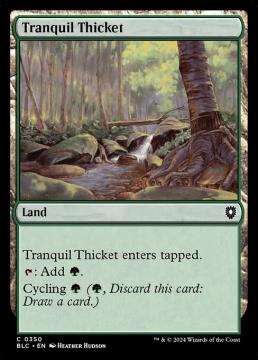 /prodotti/singles/magic/blc/tranquil-thicket_779258.jpg
