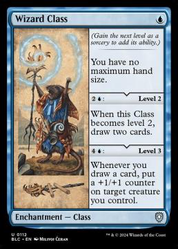 /prodotti/singles/magic/blc/wizard-class_778970.jpg