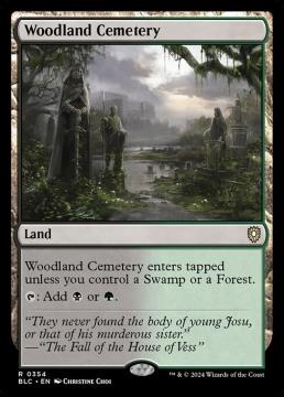 /prodotti/singles/magic/blc/woodland-cemetery_779182.jpg