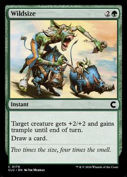 /prodotti/singles/magic/clu/wildsize_753161.jpg